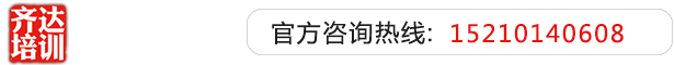 模特操老外鸡巴齐达艺考文化课-艺术生文化课,艺术类文化课,艺考生文化课logo